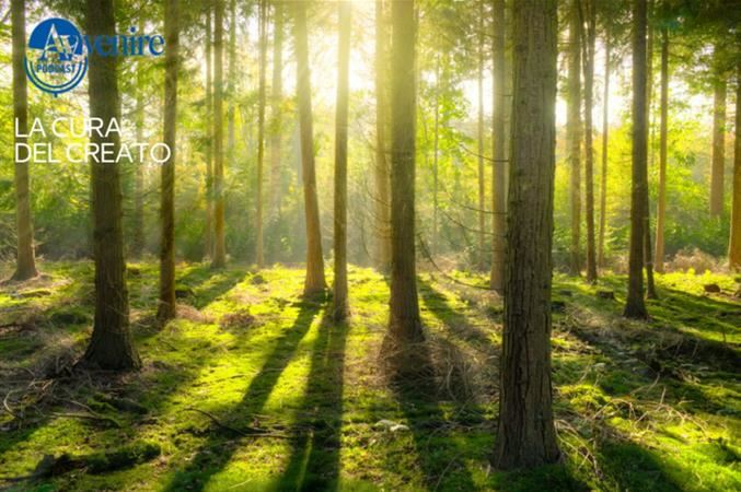 L'ecologia integrale di papa Francesco